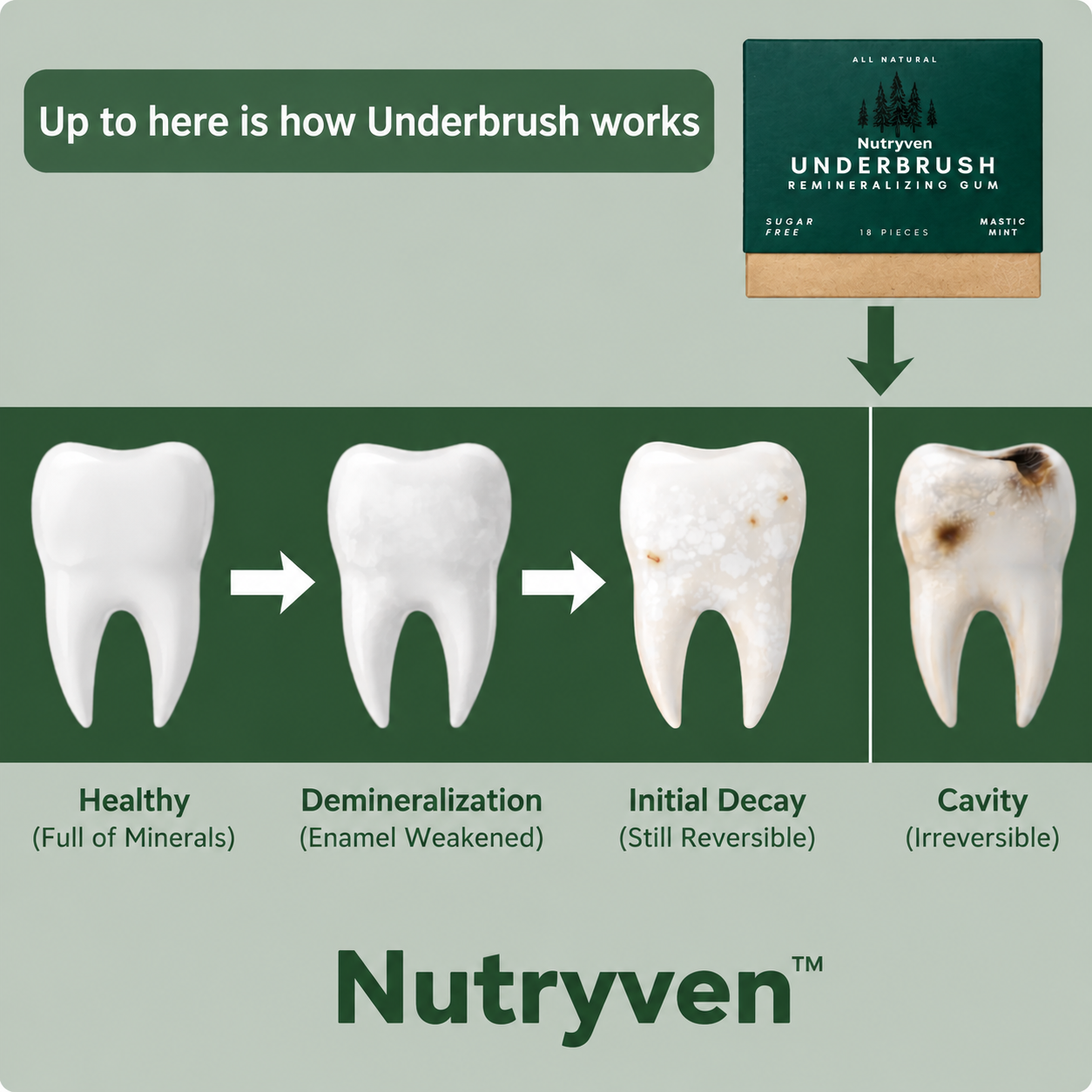 Nutryven - Underbrush